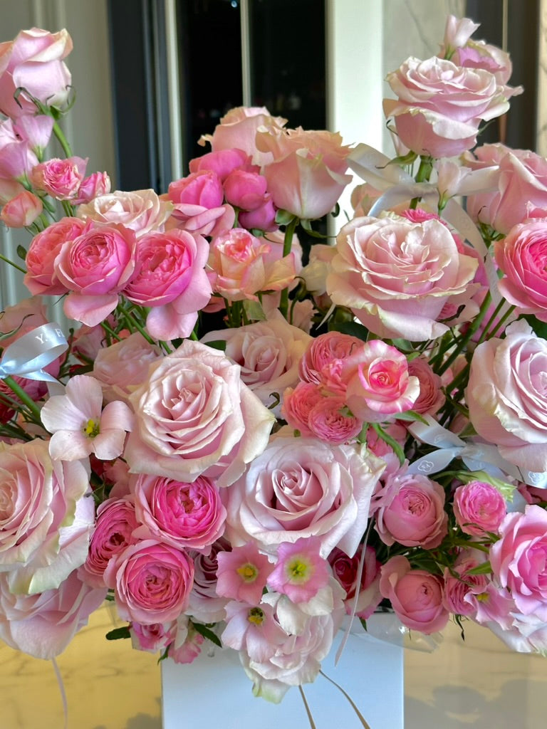 IN BLOOM｜熱戀進行式