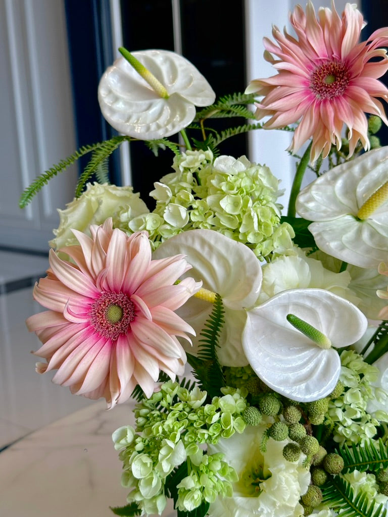 Soleil Tendre｜溫柔的太陽