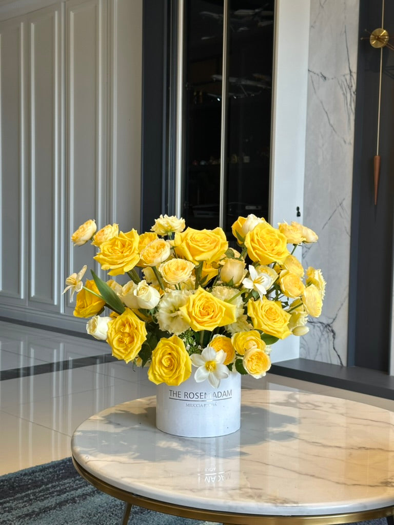 Golden Hour｜光偏愛的時刻