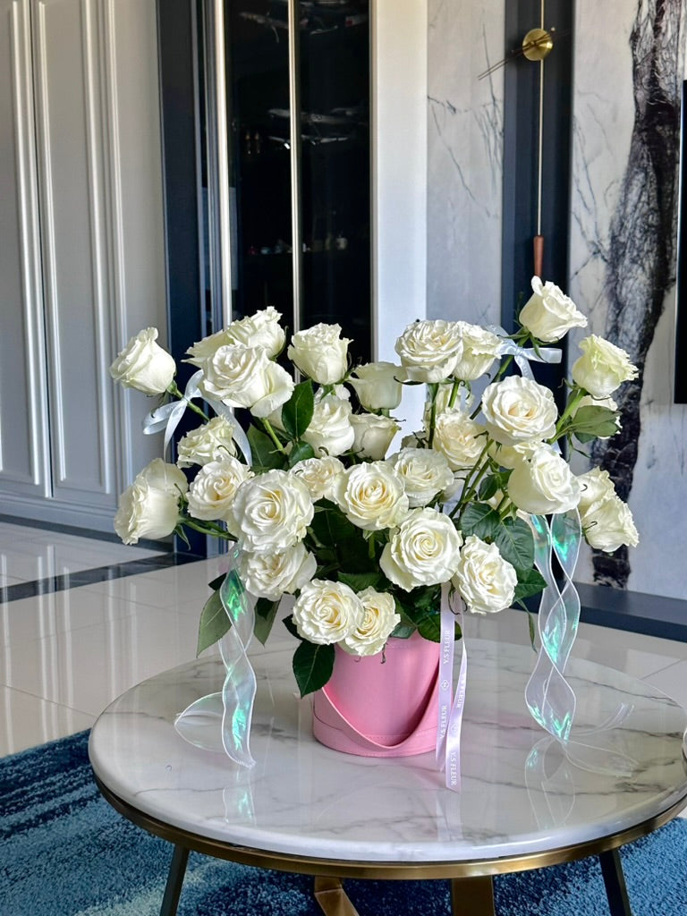 Lune Blanche｜白月光