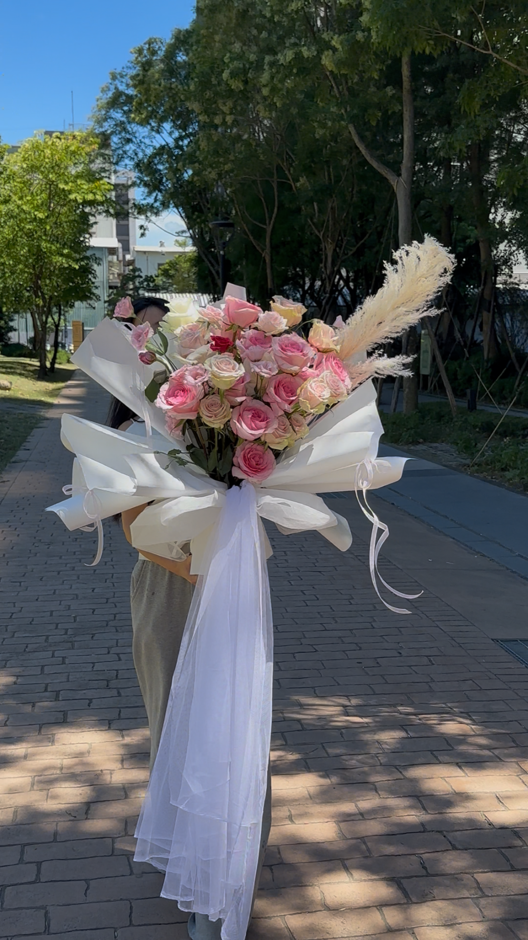 Soft Promise｜柔光誓言